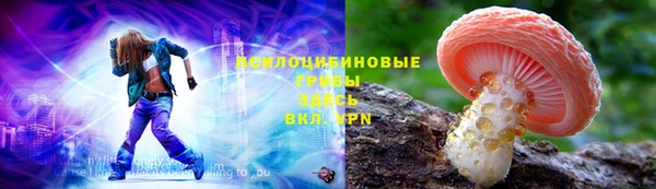 не бодяженный Аркадак