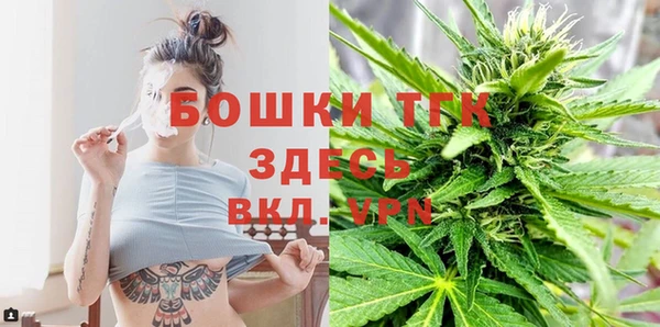 мяу мяу мука Арсеньев